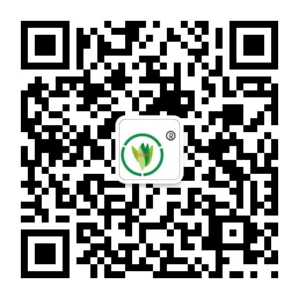 &#31859;&#20848;&#23448;&#26041;&#32593;&#39029;&#29256;&#45;&#31859;&#20848;&#77;&#105;&#76;&#97;&#110;&#40;&#20013;&#22269;&#41;